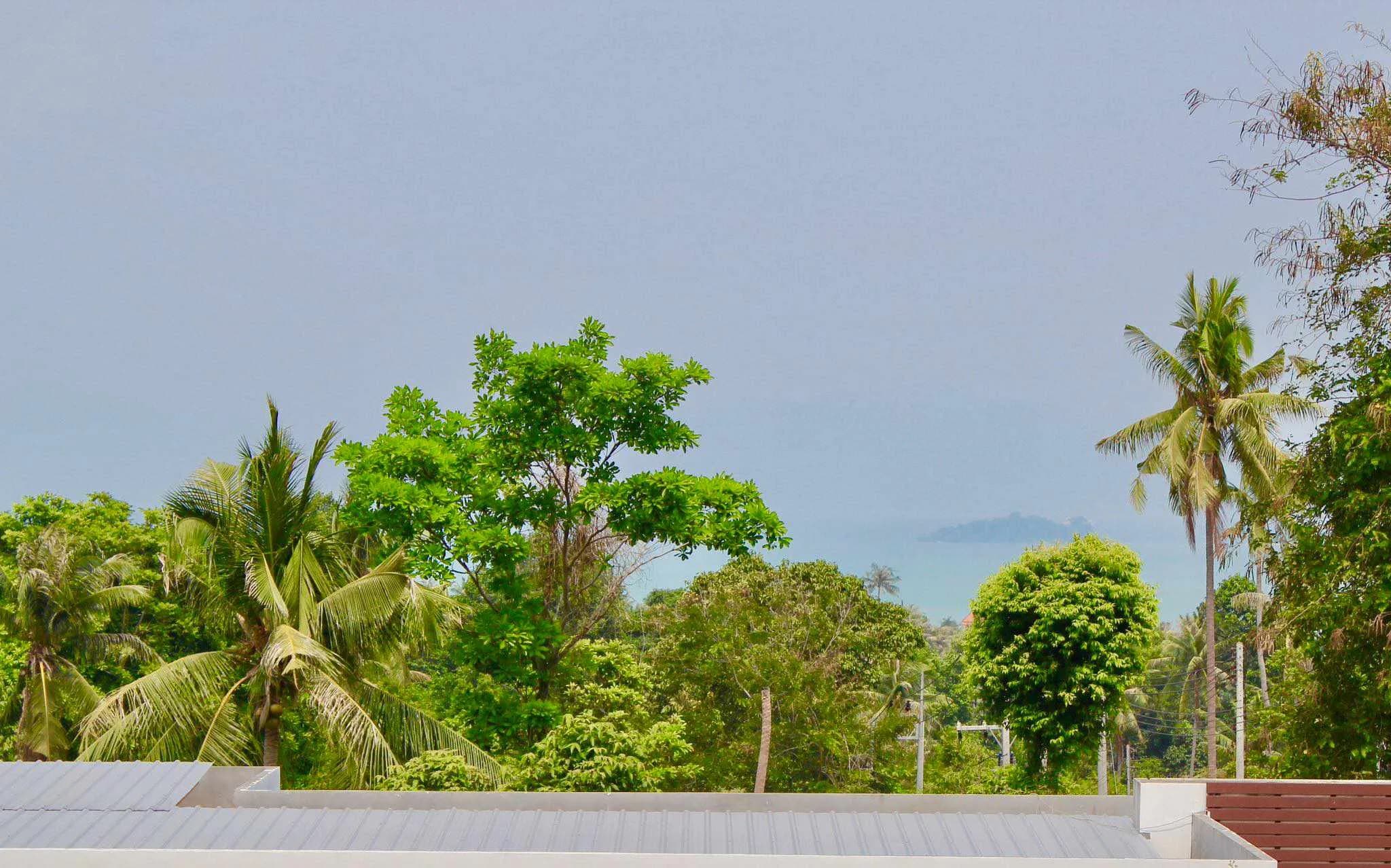 Big 5 bedroom villa with a garden and a private pool in Bangrak – VIL0499 — thumbnail 4