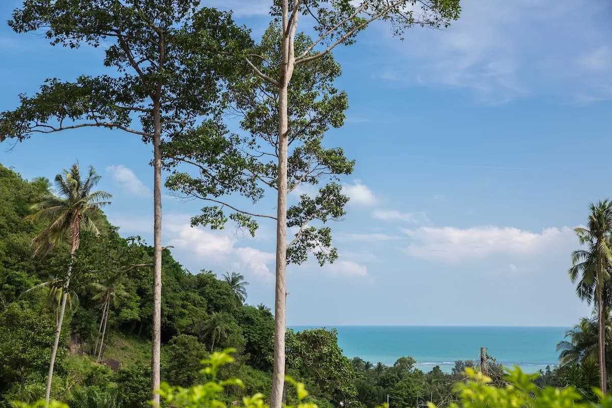 30% completed 3 bedroom sea view villa in Lamai – VIL0545 — thumbnail 2
