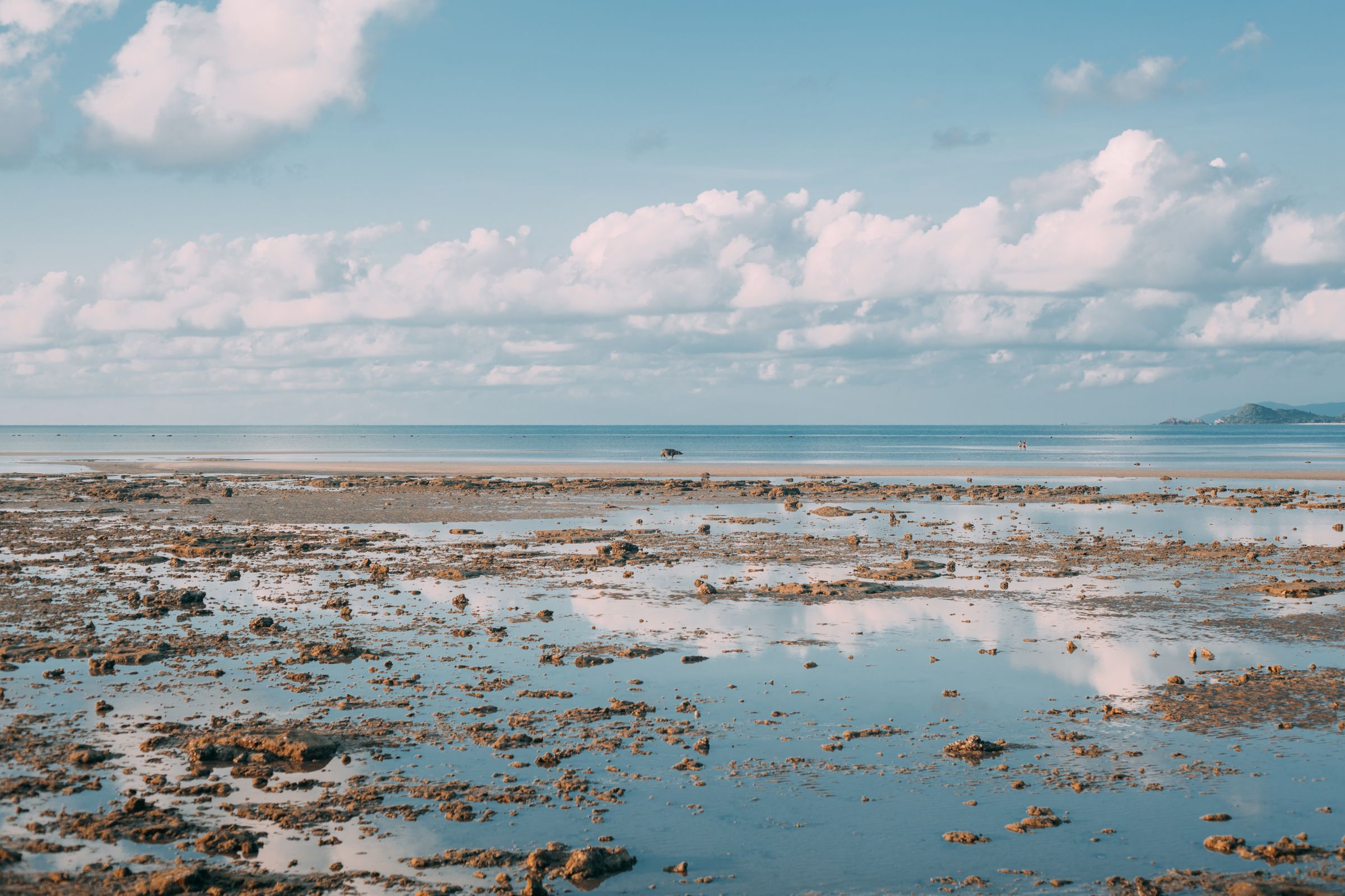A tranquil Koh Samui shore at low tide